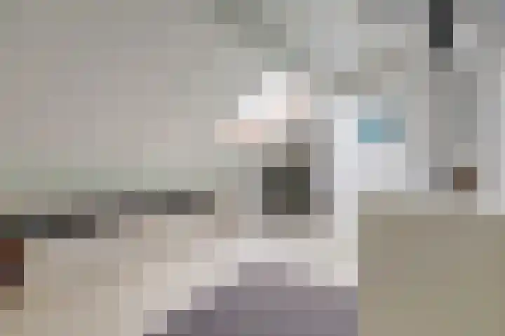 Pater Veldmanlaan 22 Ammerzoden thumbnail 19