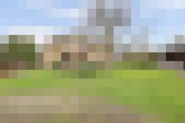 Pater Veldmanlaan 22 Ammerzoden thumbnail 20