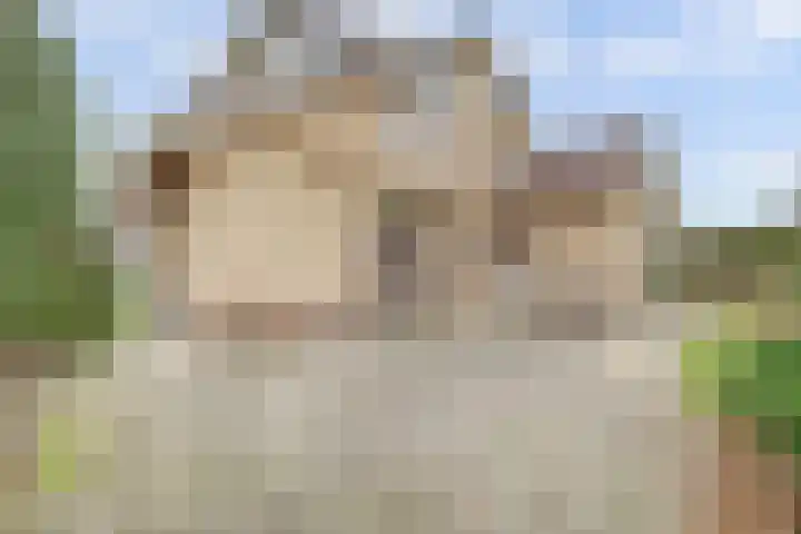 Pater Veldmanlaan 22 Ammerzoden thumbnail 21