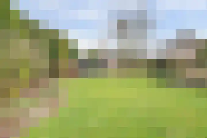 Pater Veldmanlaan 22 Ammerzoden thumbnail 23