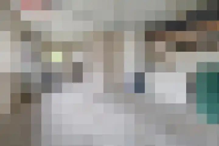Pater Veldmanlaan 22 Ammerzoden thumbnail 25