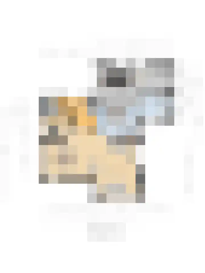 Pater Veldmanlaan 22 Ammerzoden thumbnail 28