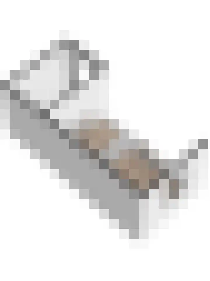 Pater Veldmanlaan 22 Ammerzoden thumbnail 36