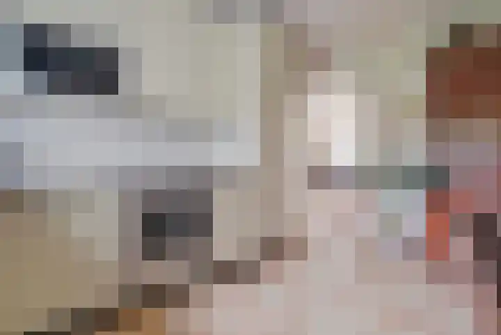 Pater Veldmanlaan 22 Ammerzoden thumbnail 9
