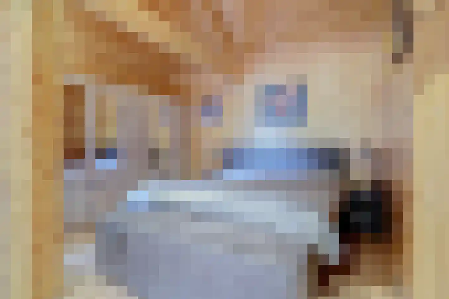 Pater Veldmanlaan 35 Ammerzoden thumbnail 12