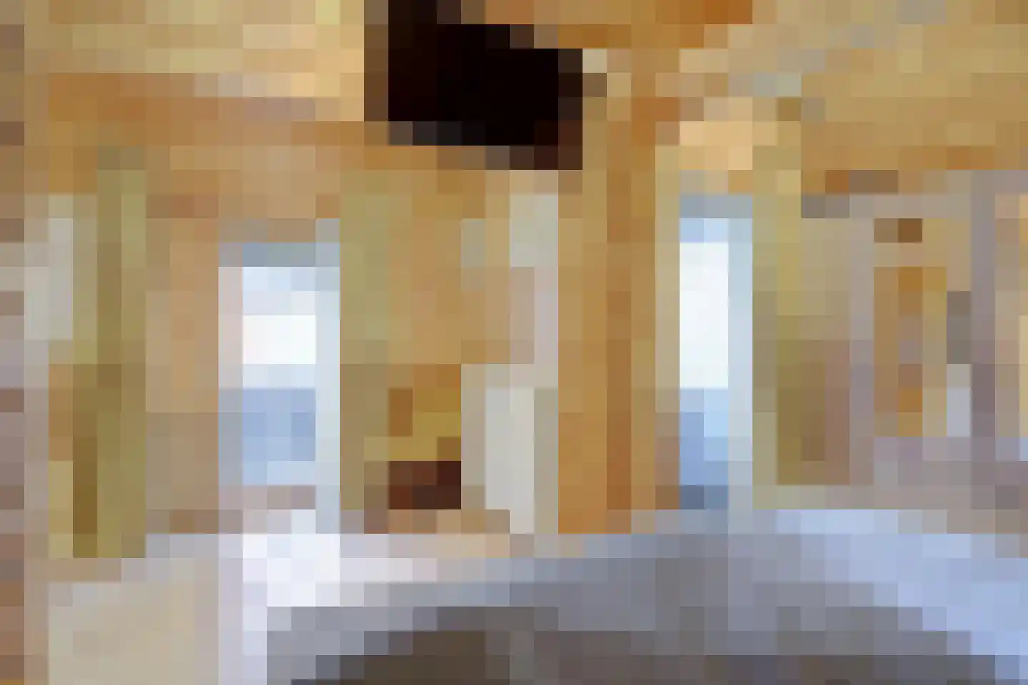 Pater Veldmanlaan 35 Ammerzoden thumbnail 13
