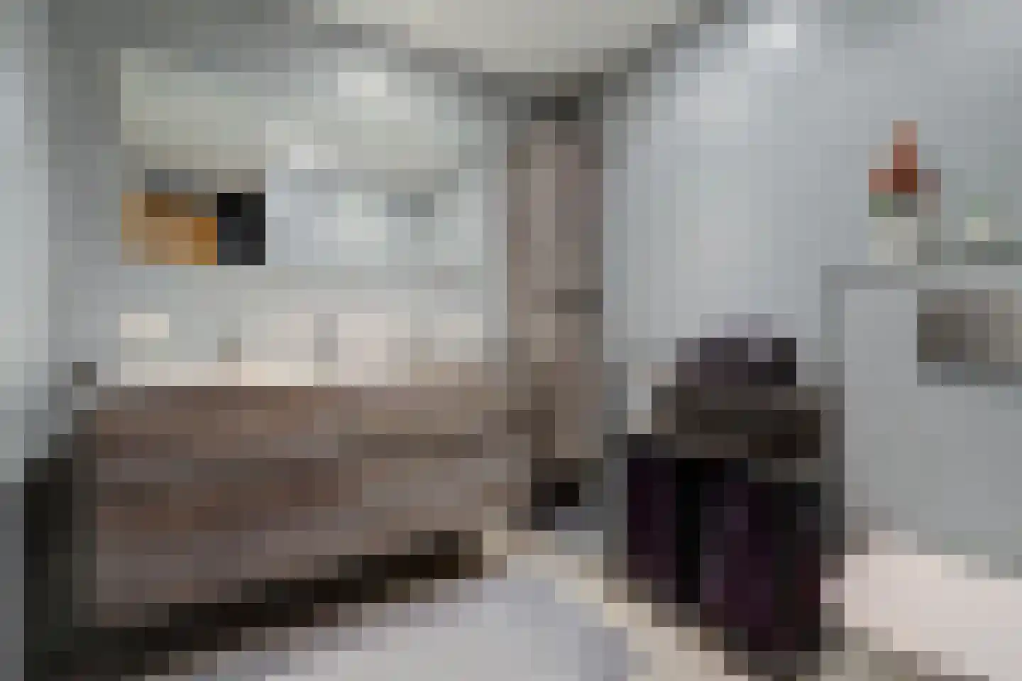 Pater Veldmanlaan 35 Ammerzoden thumbnail 14