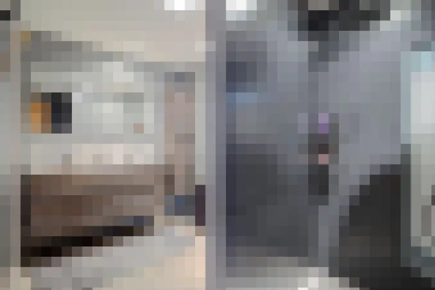 Pater Veldmanlaan 35 Ammerzoden thumbnail 15