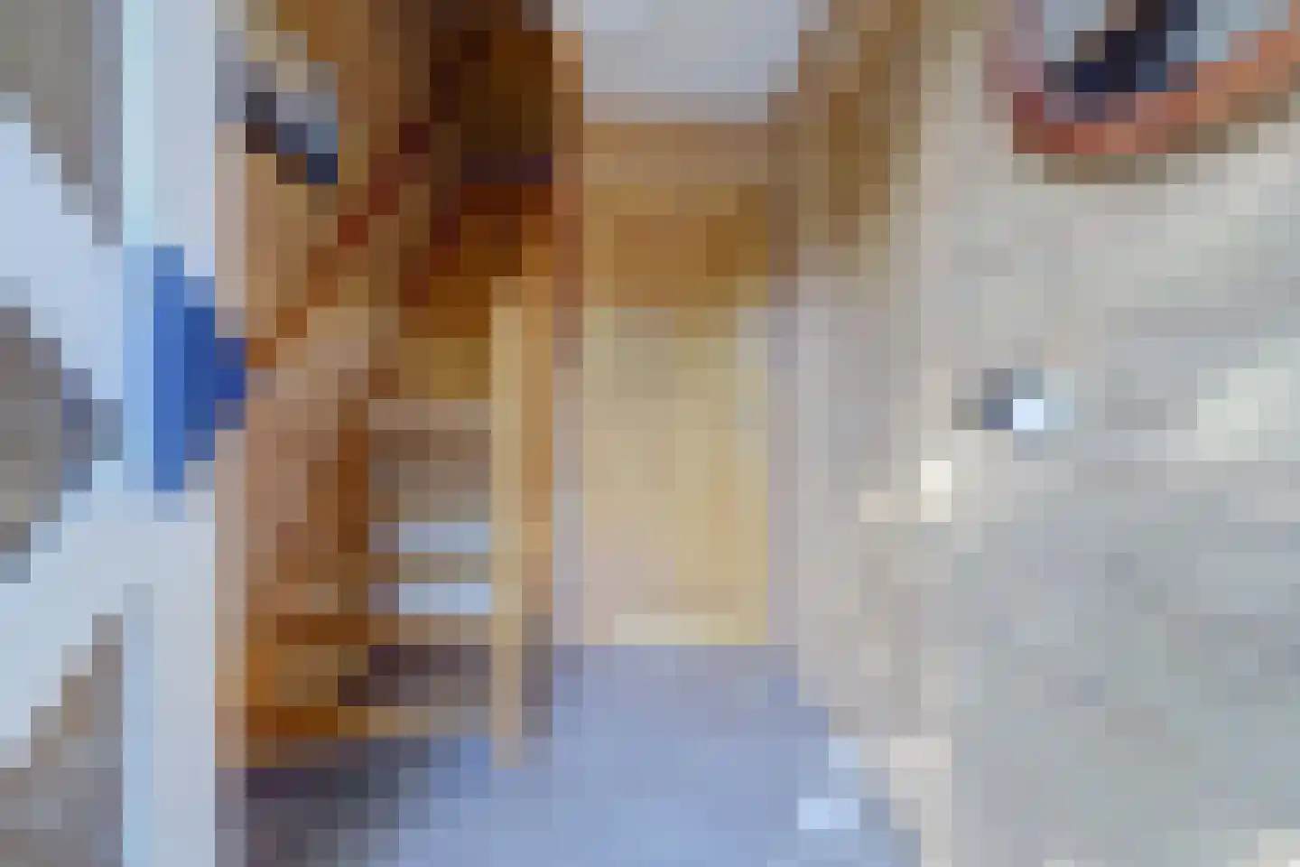 Pater Veldmanlaan 35 Ammerzoden thumbnail 17