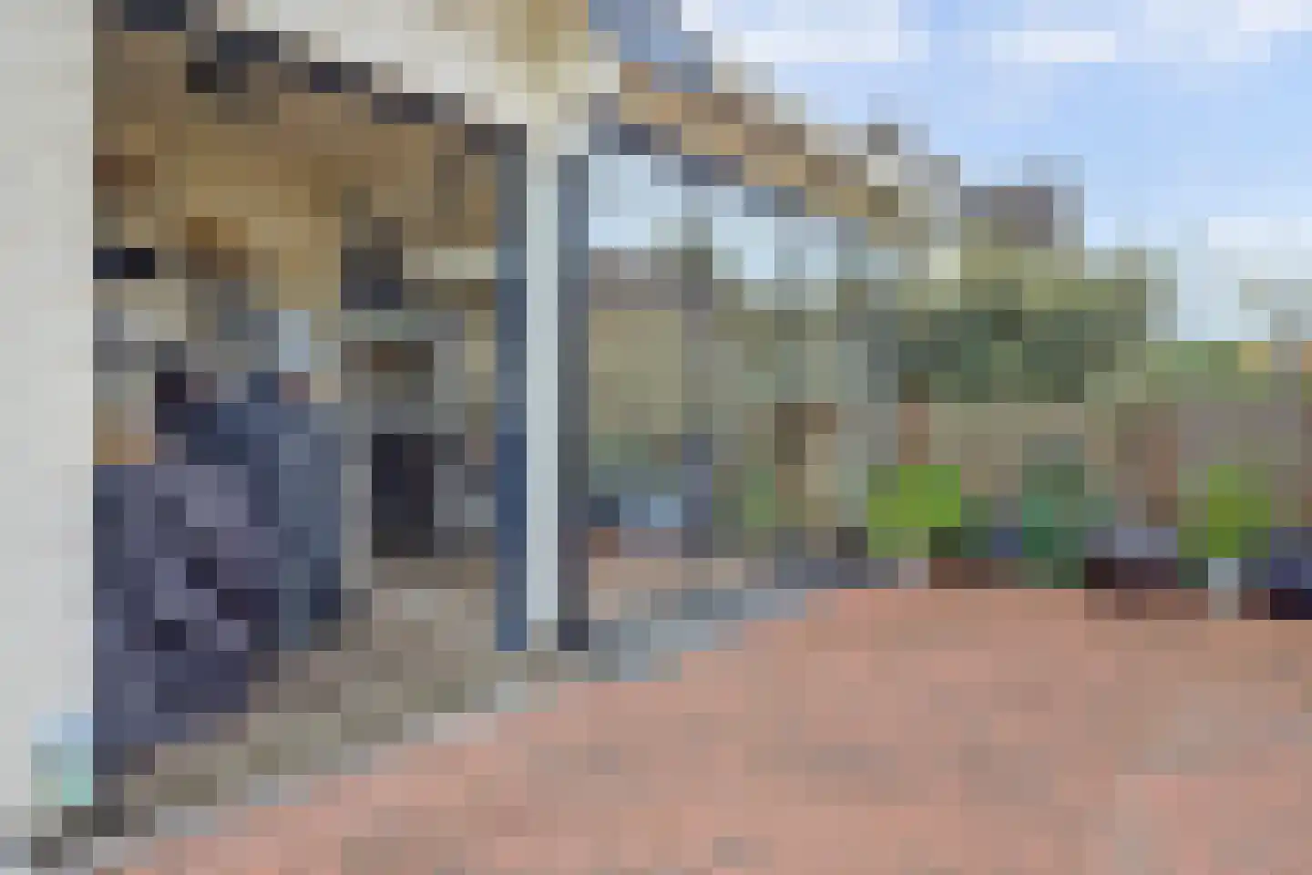Pater Veldmanlaan 35 Ammerzoden thumbnail 29
