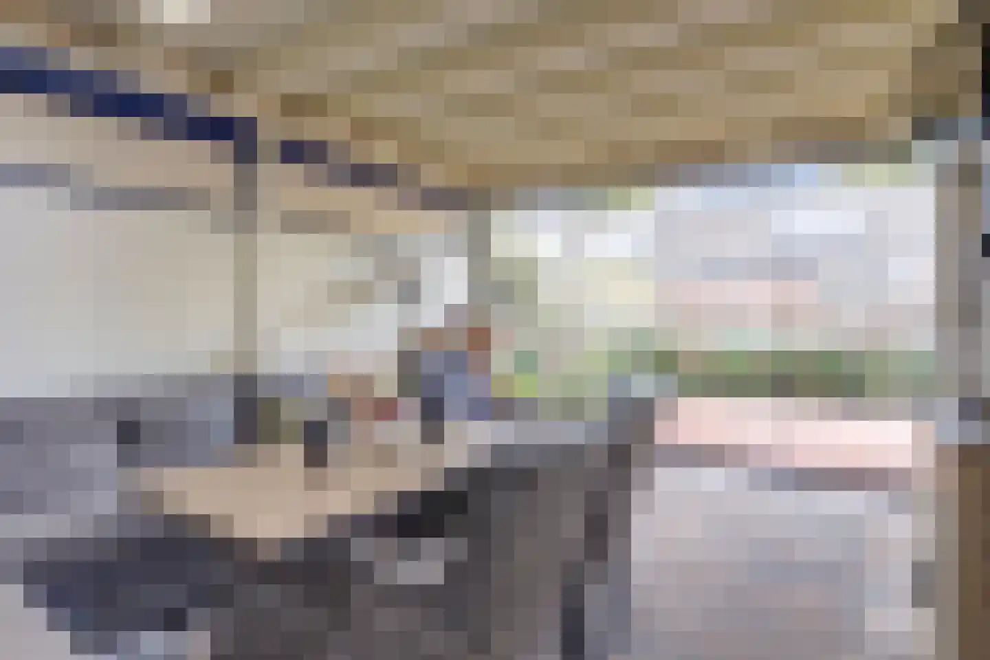 Pater Veldmanlaan 35 Ammerzoden thumbnail 31