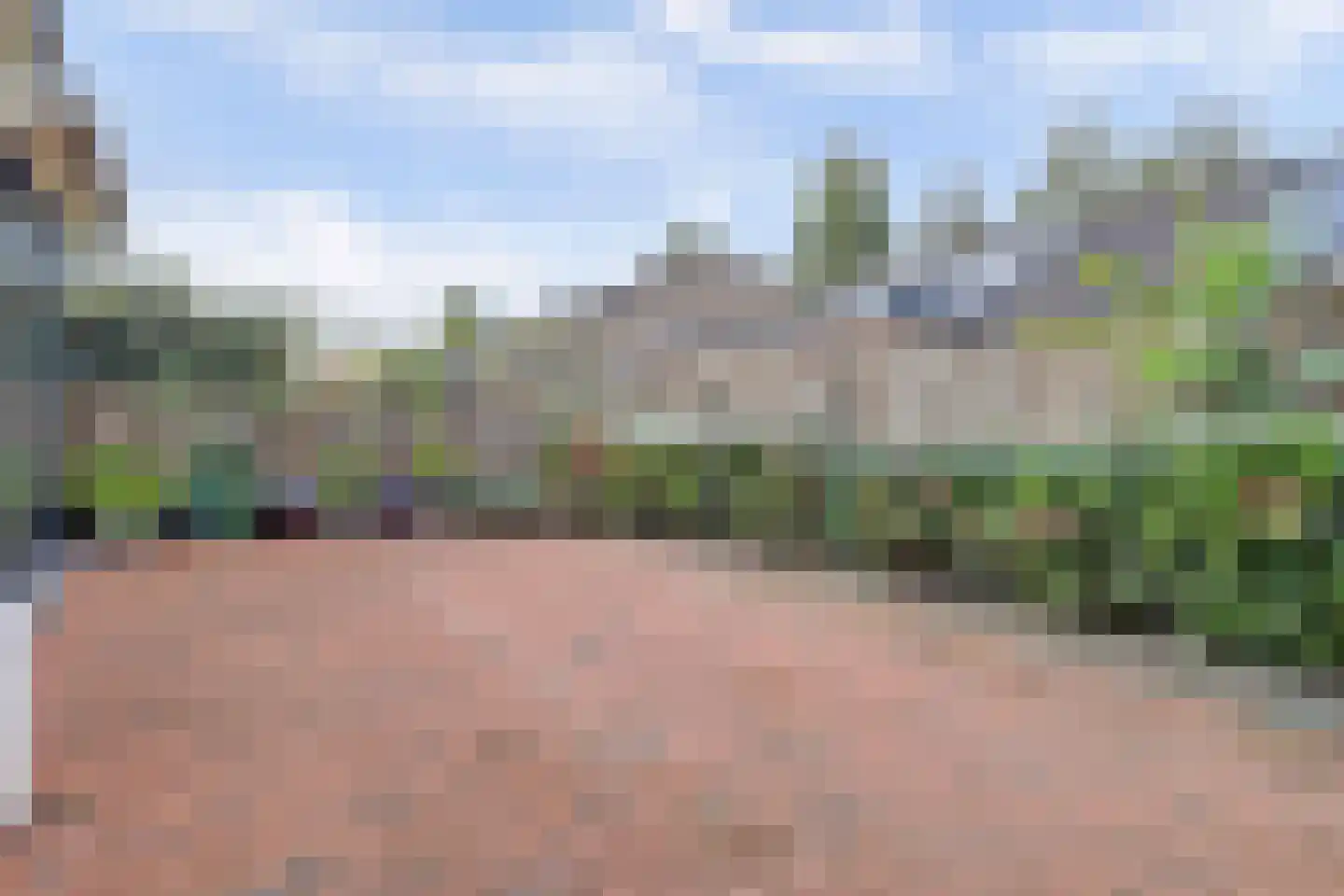 Pater Veldmanlaan 35 Ammerzoden thumbnail 32