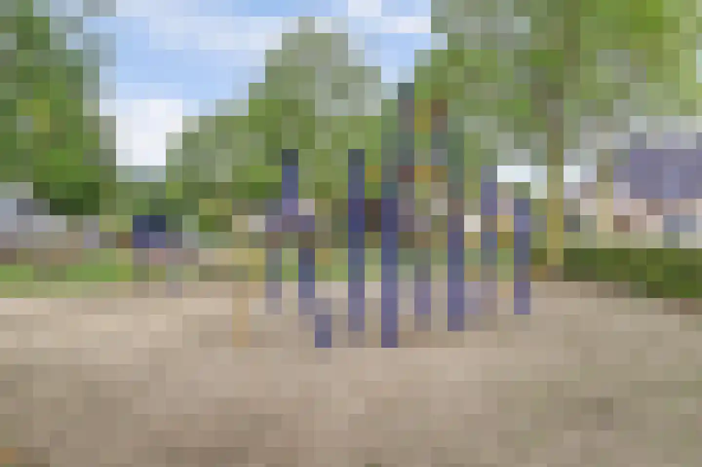 Pater Veldmanlaan 35 Ammerzoden thumbnail 34