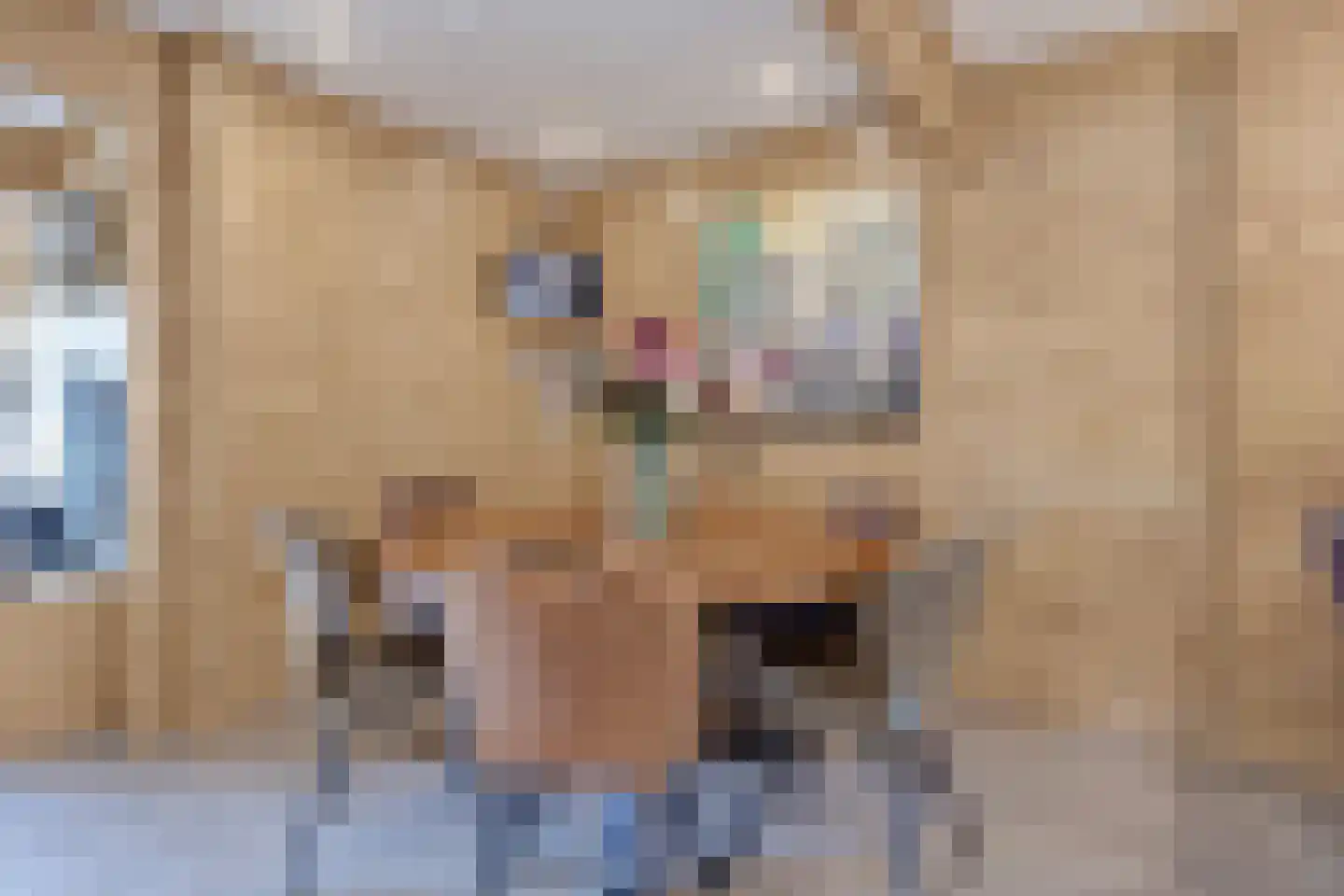 Pater Veldmanlaan 35 Ammerzoden thumbnail 6