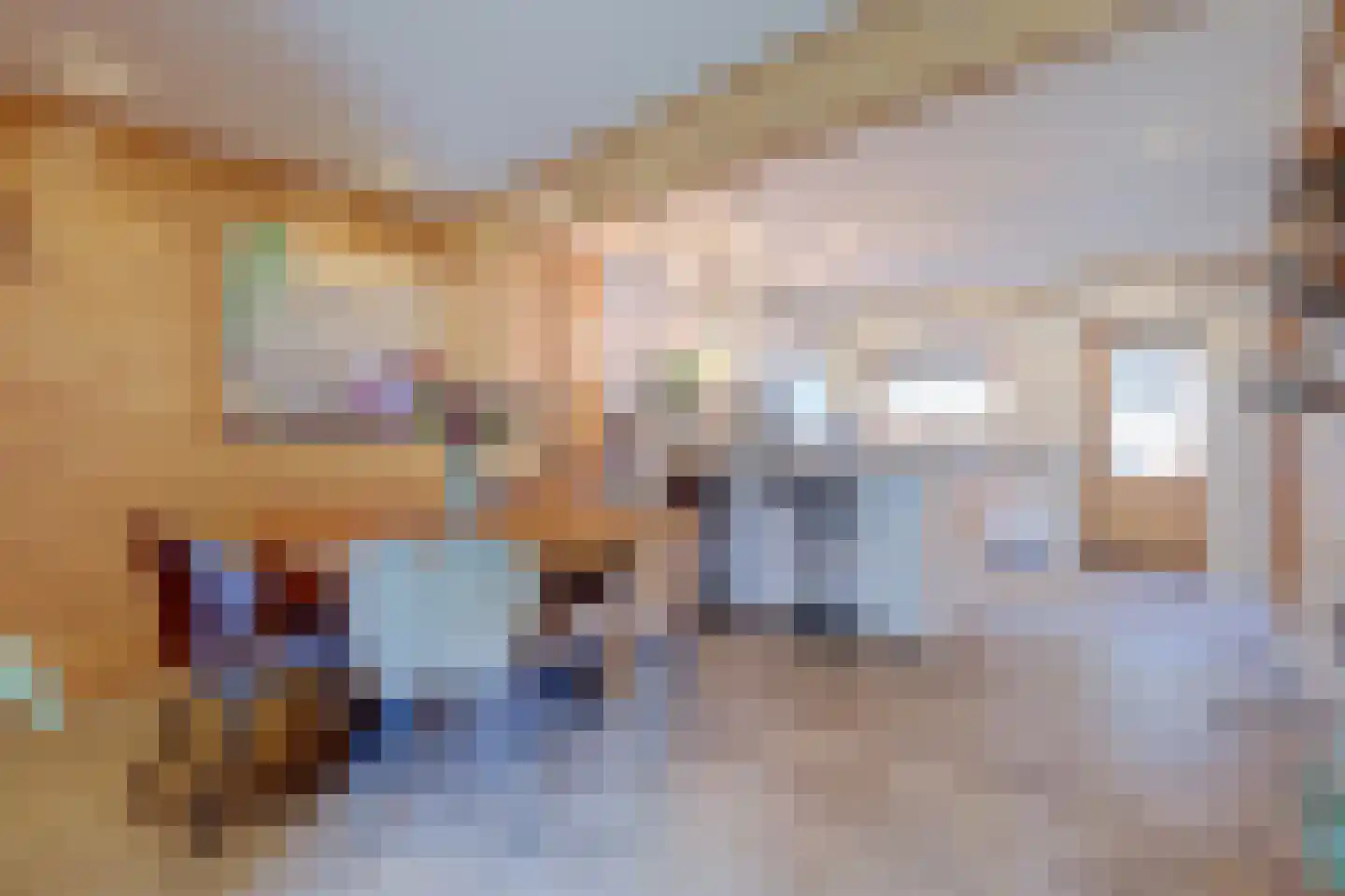 Pater Veldmanlaan 35 Ammerzoden thumbnail 7