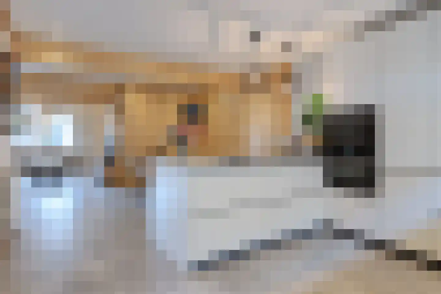 Pater Veldmanlaan 35 Ammerzoden thumbnail 8