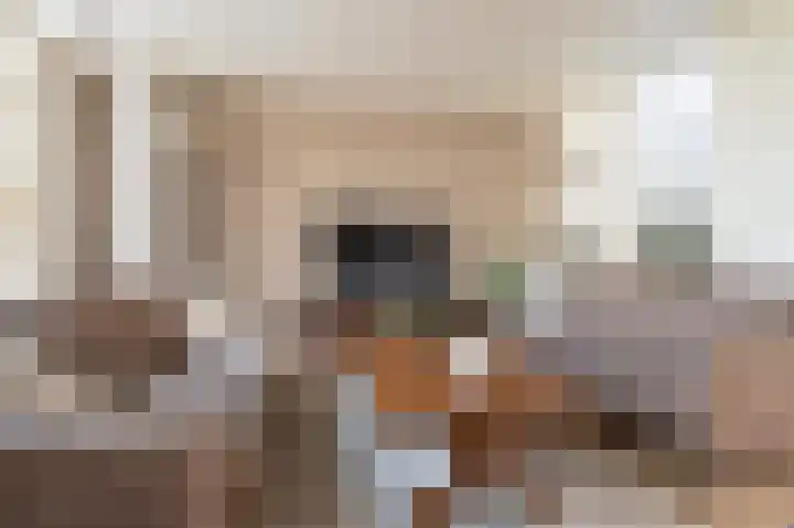 Pater Vervoortstraat 4 Veghel thumbnail 10