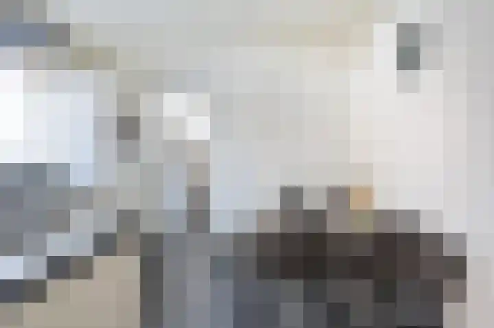 Pater Vervoortstraat 4 Veghel thumbnail 13