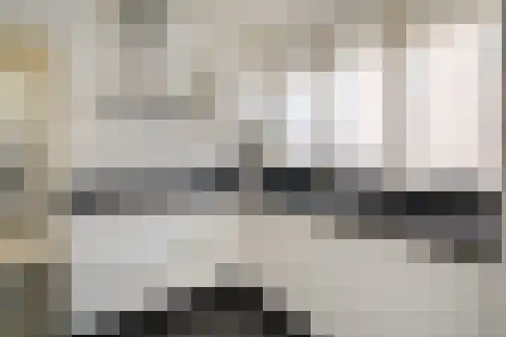 Pater Vervoortstraat 4 Veghel thumbnail 15