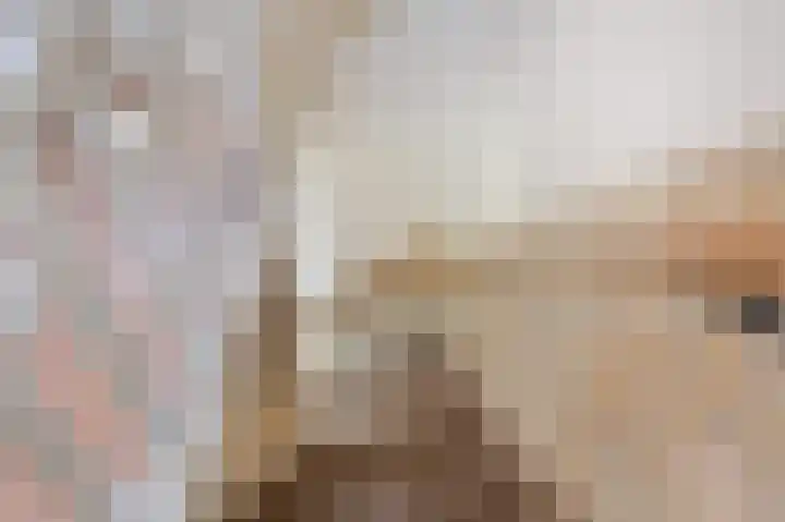 Pater Vervoortstraat 4 Veghel thumbnail 17