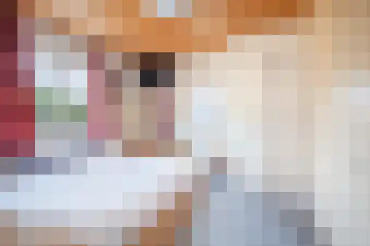 Pater Vervoortstraat 4 Veghel thumbnail 18