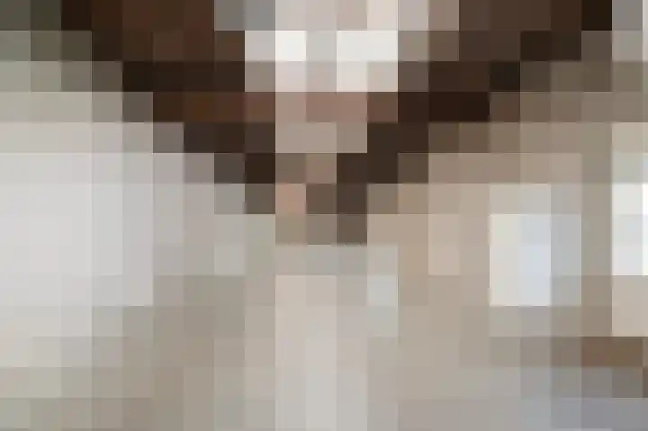 Pater Vervoortstraat 4 Veghel thumbnail 30
