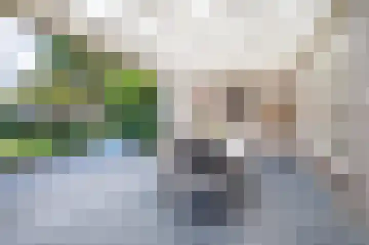 Pater Vervoortstraat 4 Veghel thumbnail 33