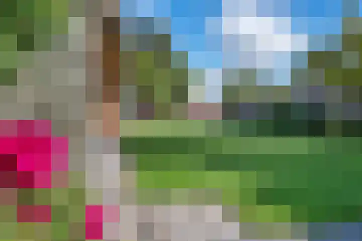 Pater Vervoortstraat 4 Veghel thumbnail 35