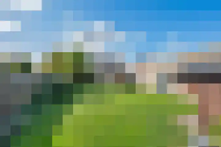 Pater Vervoortstraat 4 Veghel thumbnail 4