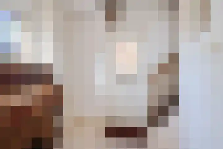 Pater Vervoortstraat 4 Veghel thumbnail 5
