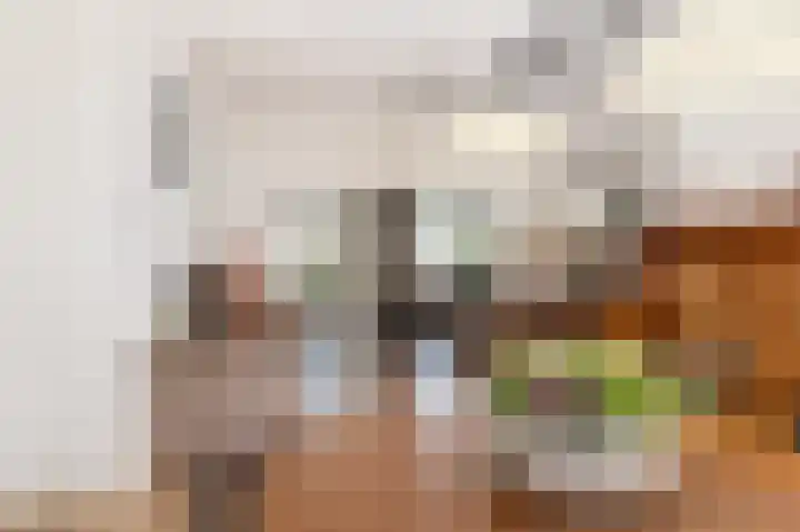 Pater Vervoortstraat 4 Veghel thumbnail 6