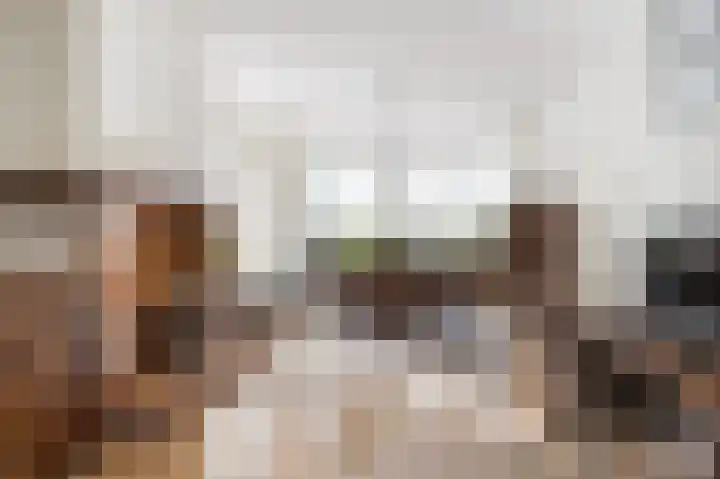 Pater Vervoortstraat 4 Veghel thumbnail 8