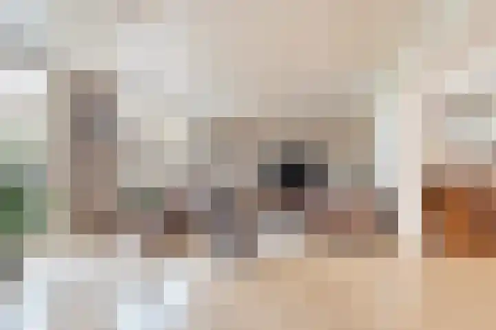 Pater Vervoortstraat 4 Veghel thumbnail 9
