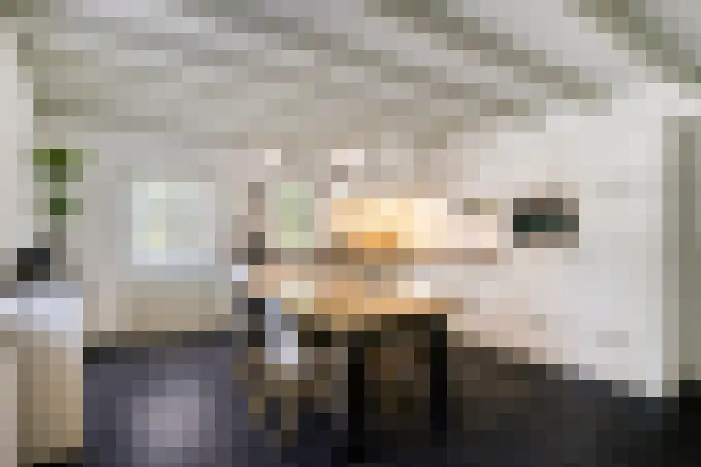 Pater Visserslaan 10 A Veghel thumbnail 24