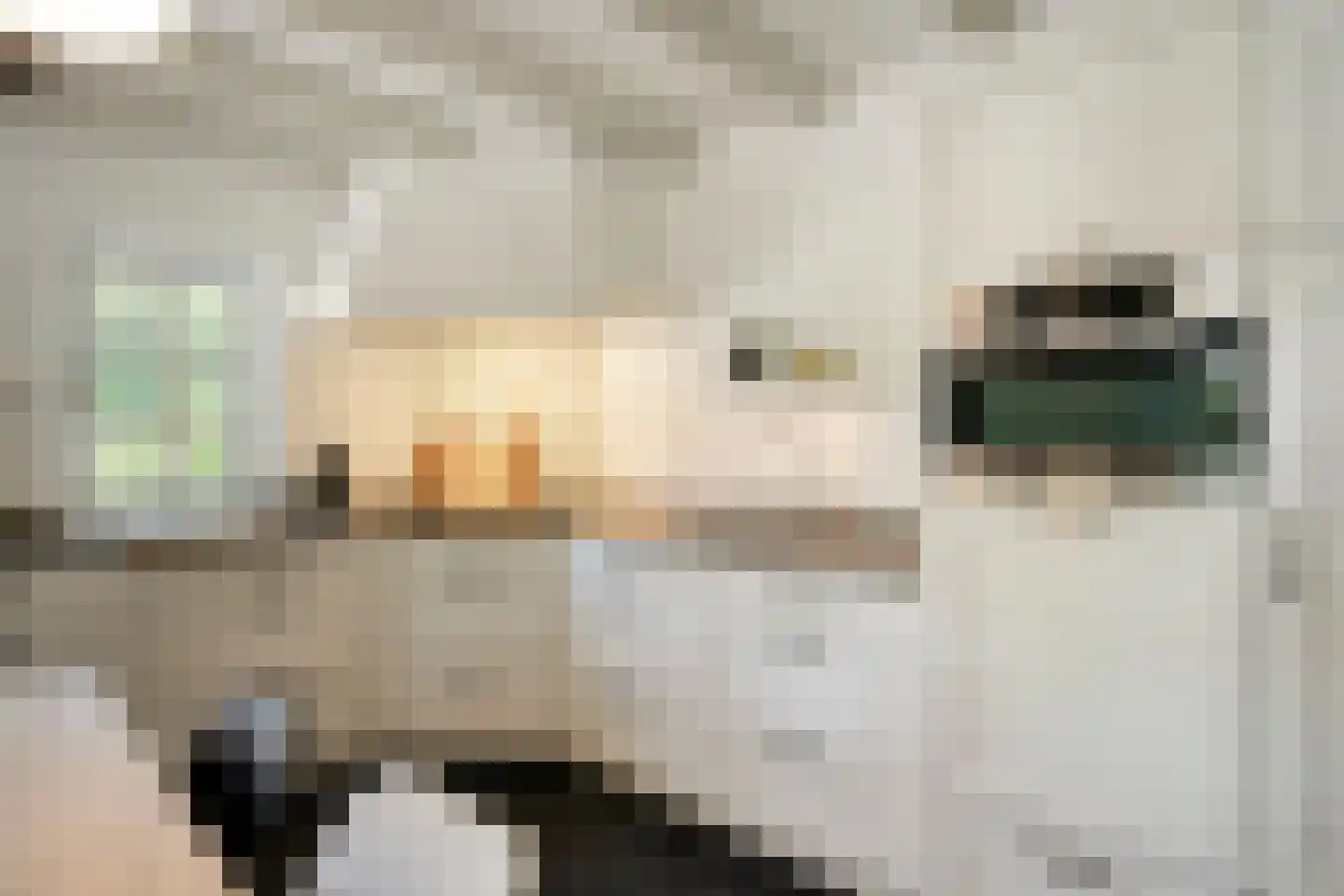 Pater Visserslaan 10 A Veghel thumbnail 26