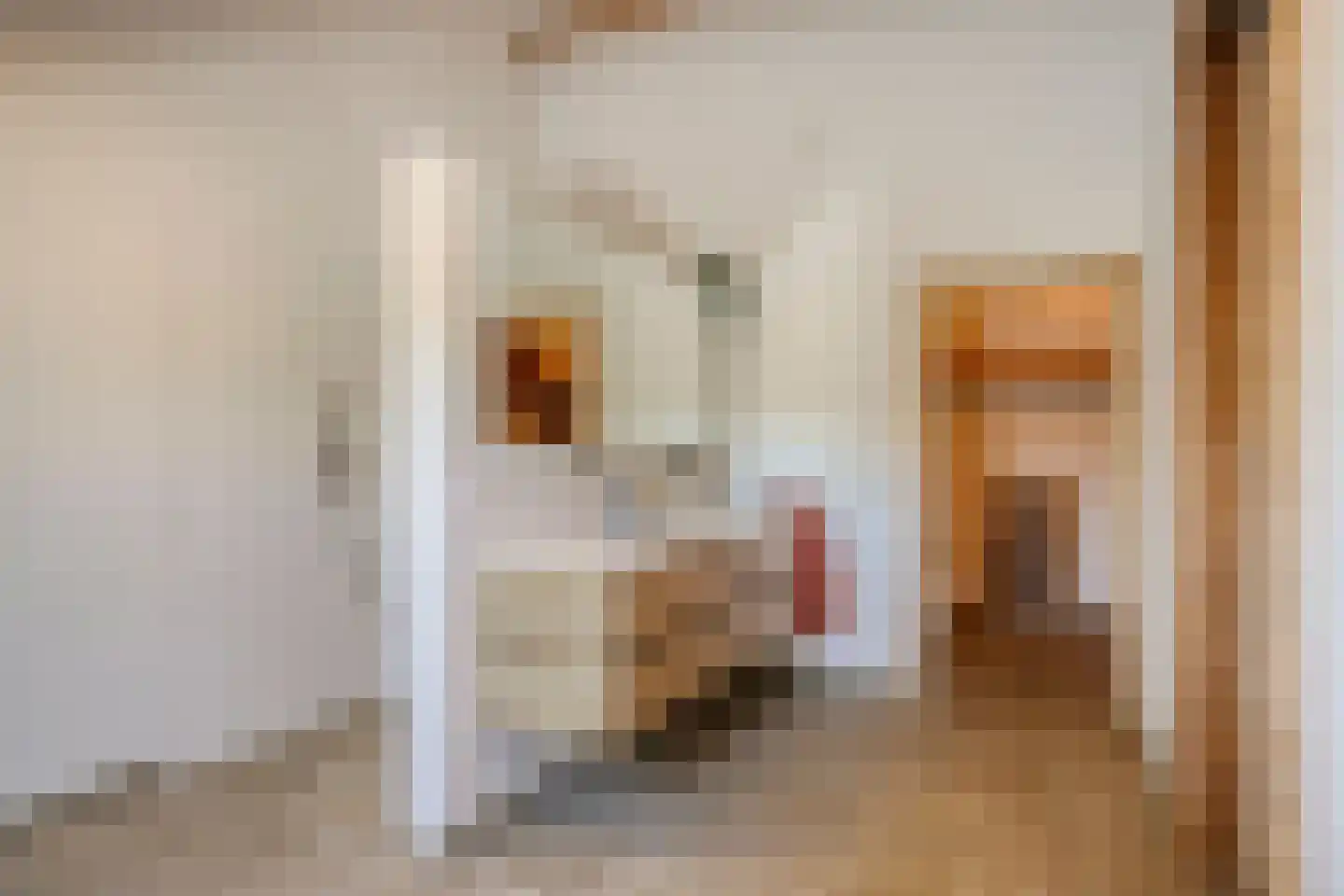 Pater Visserslaan 10 A Veghel thumbnail 37