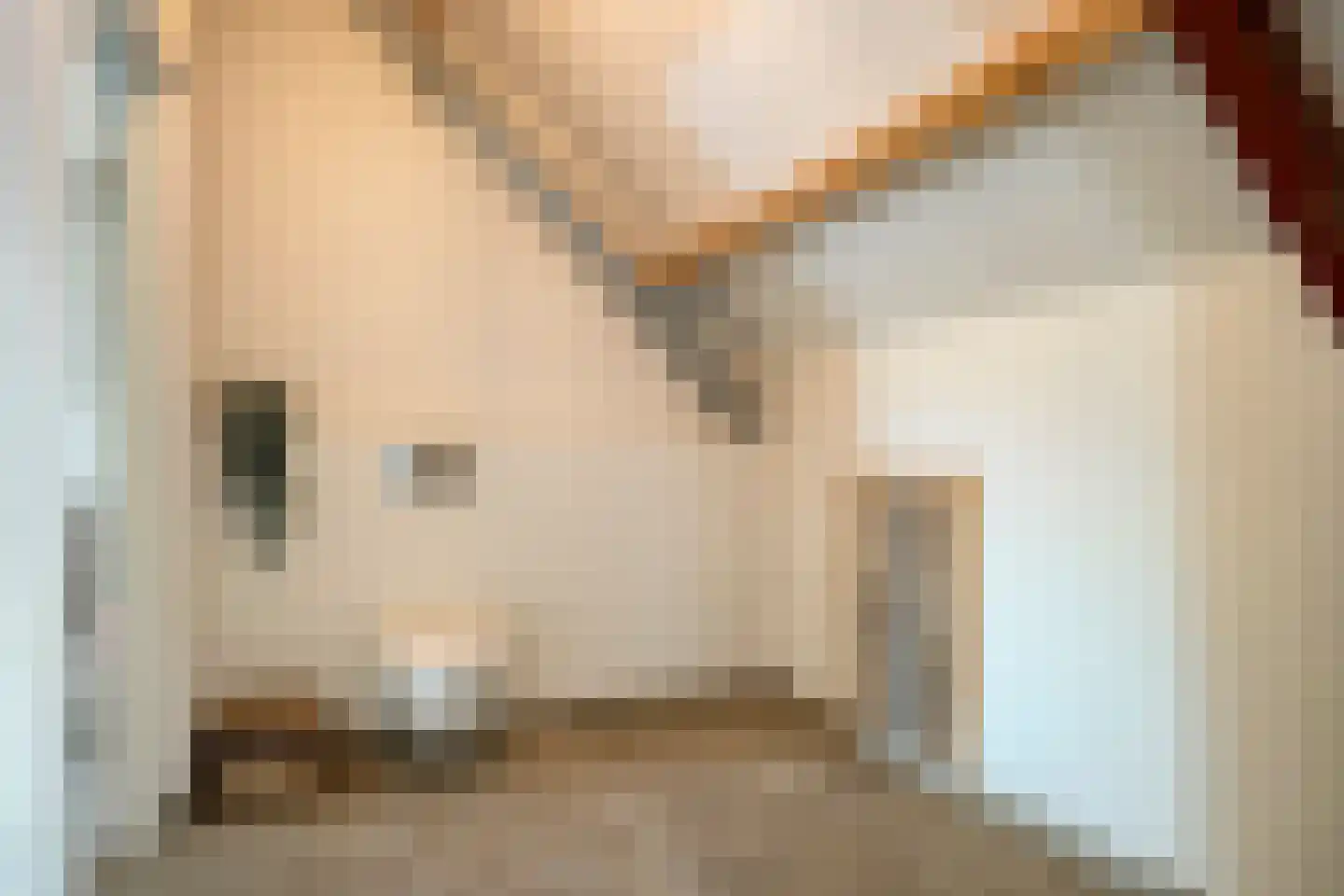 Pater Visserslaan 10 A Veghel thumbnail 41