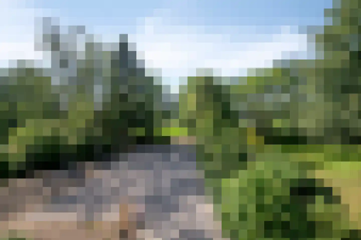 Pater Visserslaan 10 A Veghel thumbnail 47