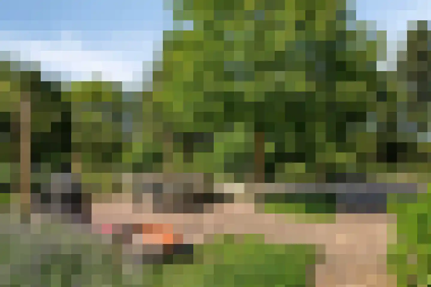 Pater Visserslaan 10 A Veghel thumbnail 53