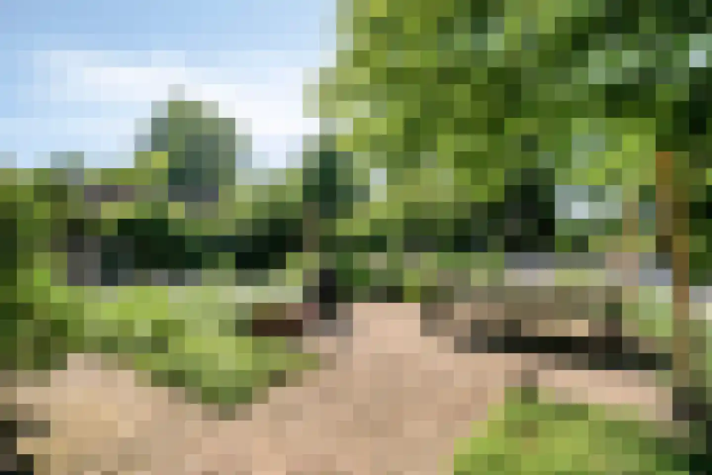 Pater Visserslaan 10 A Veghel thumbnail 54