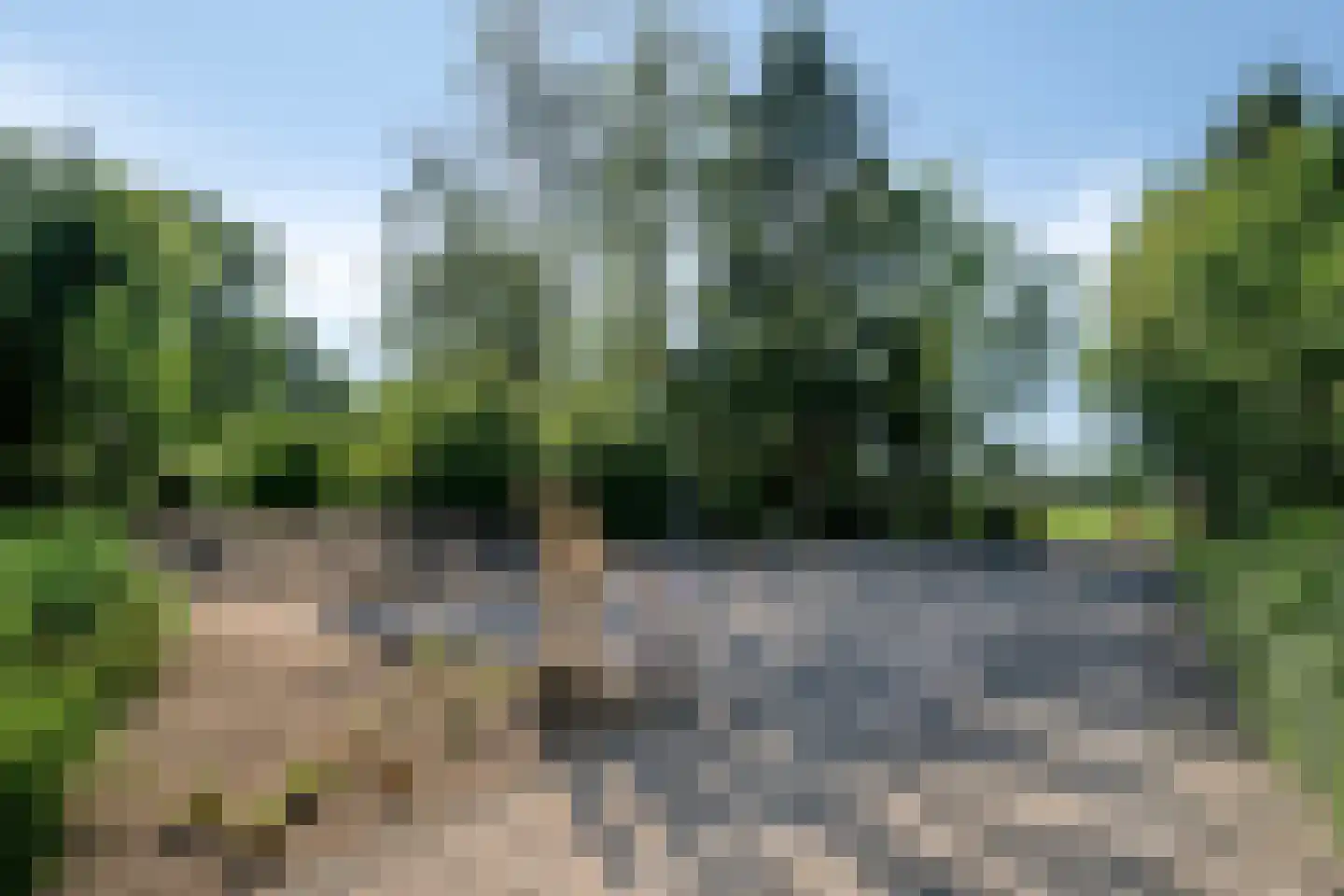 Pater Visserslaan 10 A Veghel thumbnail 59