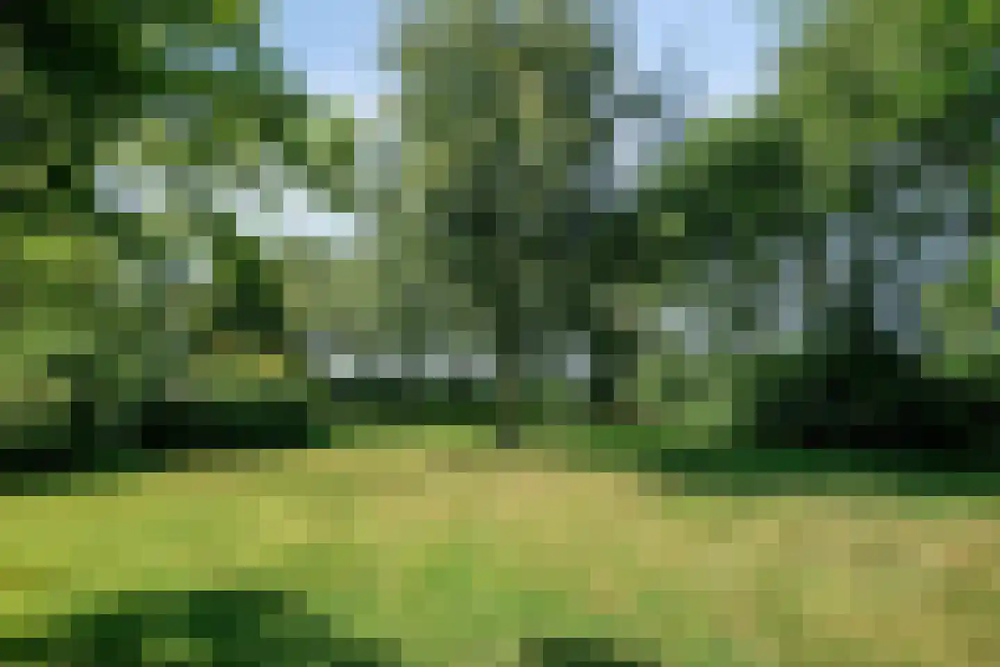 Pater Visserslaan 10 A Veghel thumbnail 60