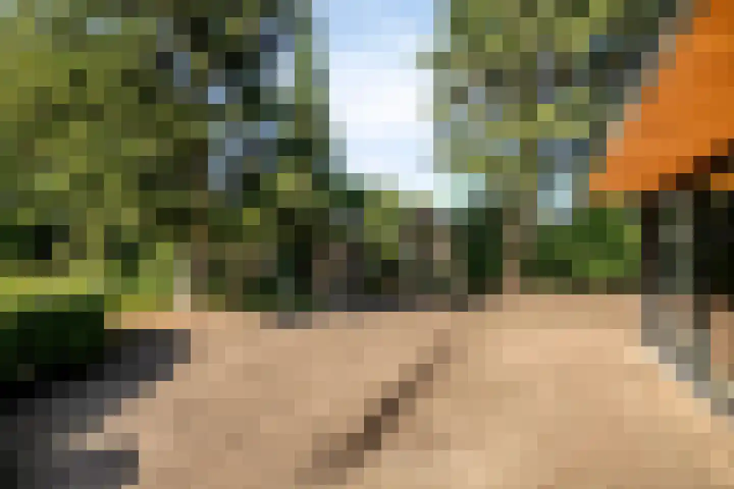Pater Visserslaan 10 A Veghel thumbnail 65