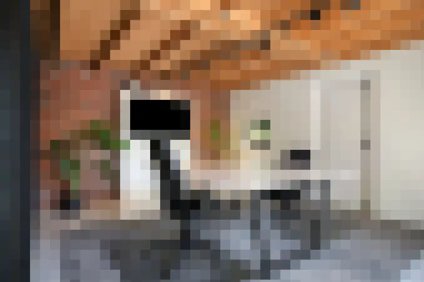 Pater Visserslaan 10 A Veghel thumbnail 70