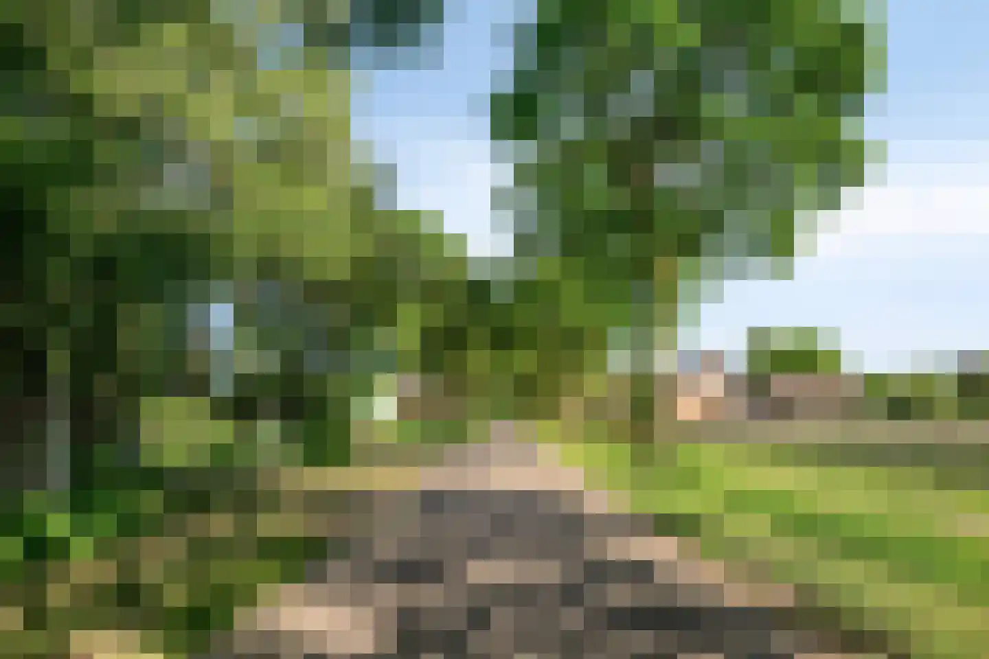 Pater Visserslaan 10 A Veghel thumbnail 87
