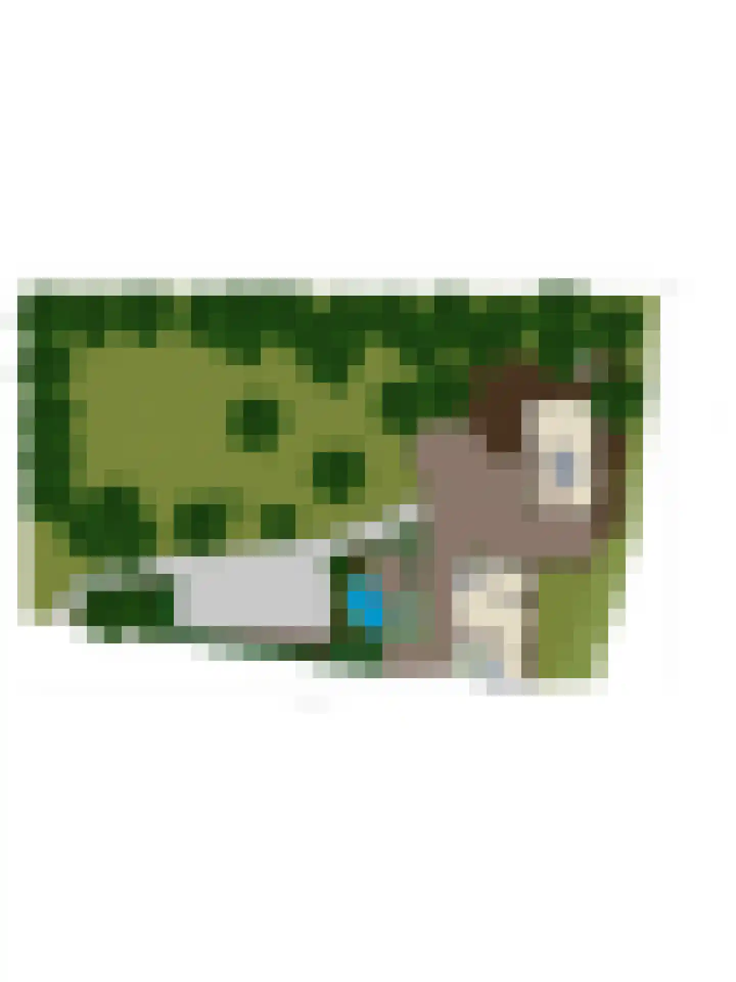 Pater Visserslaan 10 A Veghel thumbnail 91