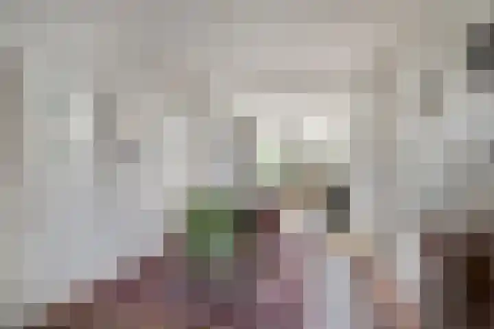 Pater Vogelsstraat 15 Beek en Donk thumbnail 10