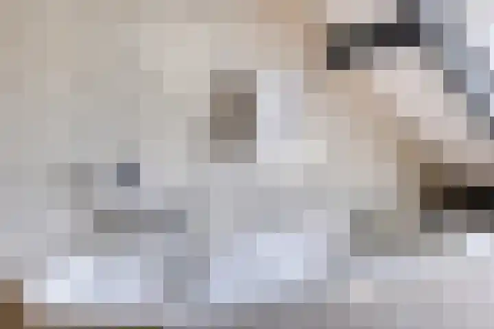 Pater Vogelsstraat 15 Beek en Donk thumbnail 15