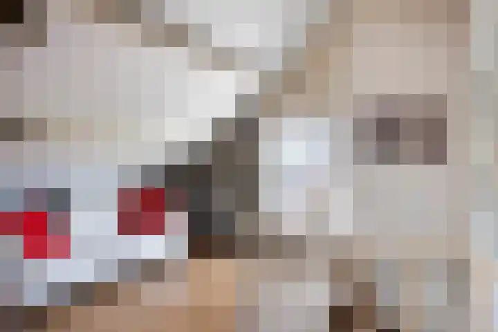 Pater Vogelsstraat 15 Beek en Donk thumbnail 19