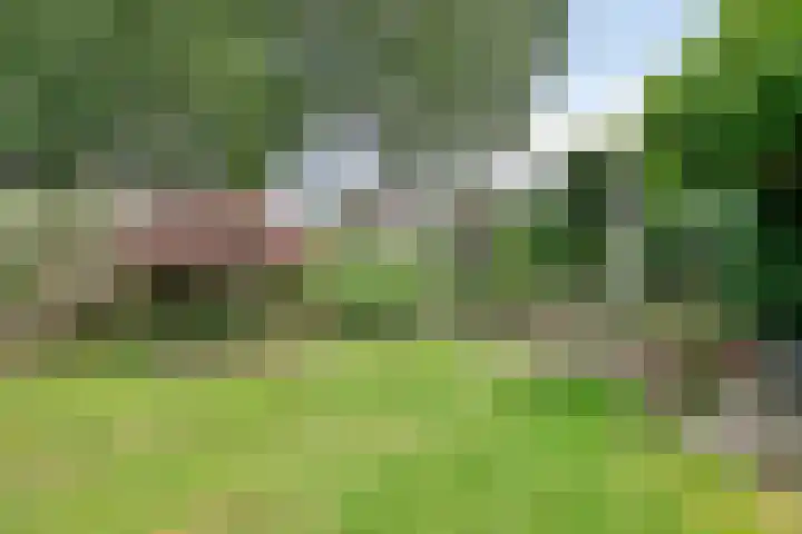 Pater Vogelsstraat 15 Beek en Donk thumbnail 24